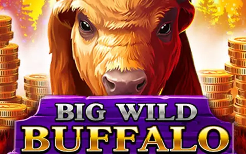 Play Big Wild Buffalo slot at Mostbet.